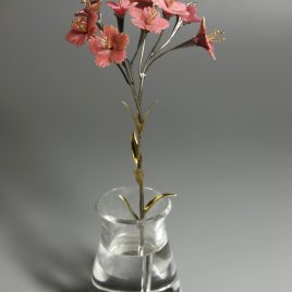 Carnation.