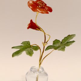 Geranium