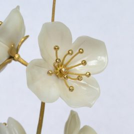 Jasmine