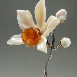 Orchid.