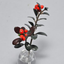 red bilberry