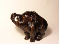 Boar