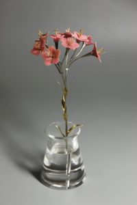 Carnation.