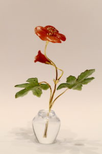 Geranium