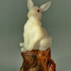 Hare