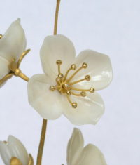 Jasmine