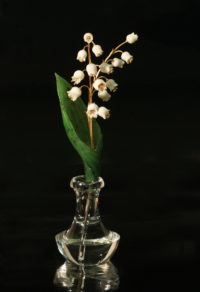 Lily of the valley.