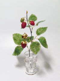 Raspberries