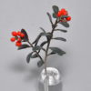 red bilberry