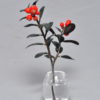 red bilberry
