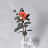 red bilberry
