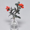red bilberry