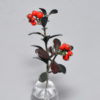 red bilberry