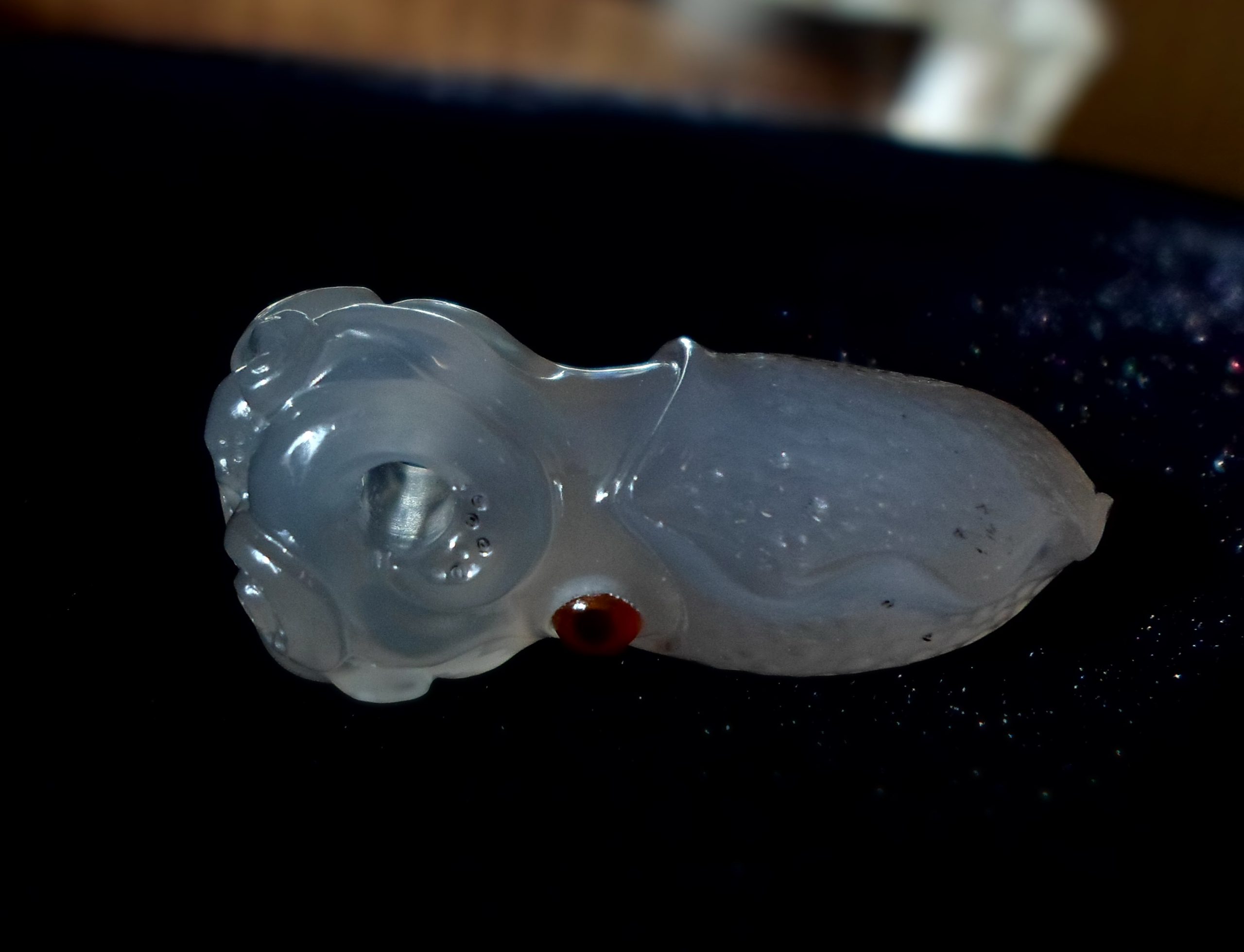 SQUID 2 Squid 1 scaled