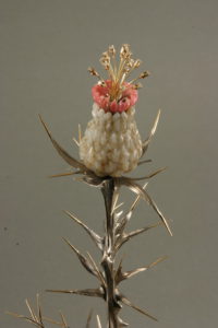 THISTLE