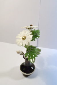CHAMOMILE AND LADYBIRD