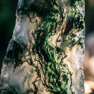 Moss agate features natural greenery inside. Fun fact: it contains no organic matter! The moss-like patterns are iron or chlorit…