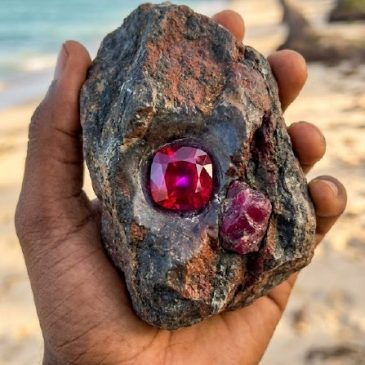 An amazing find in Pemba: a 1.96-carat ruby from the world’s second-largest vein. Flawless and vivid, it glows with a rare purpl…